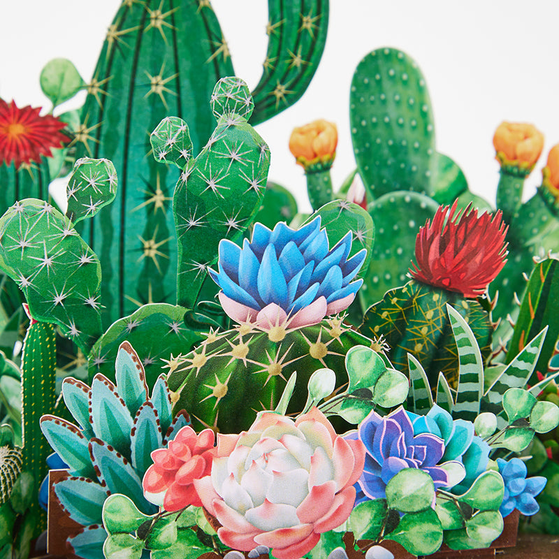 cactus-plants-pop-up-flower-pot